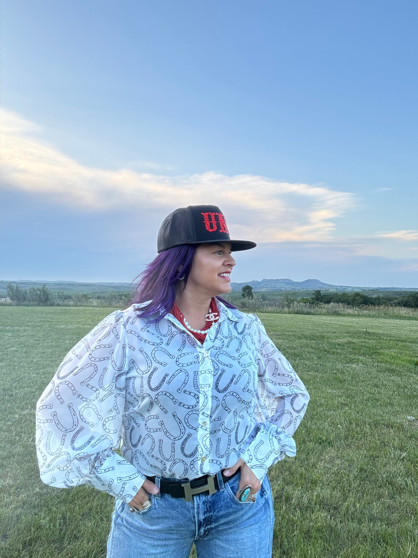 Sheer Chiffon Horseshoe Print Blouse