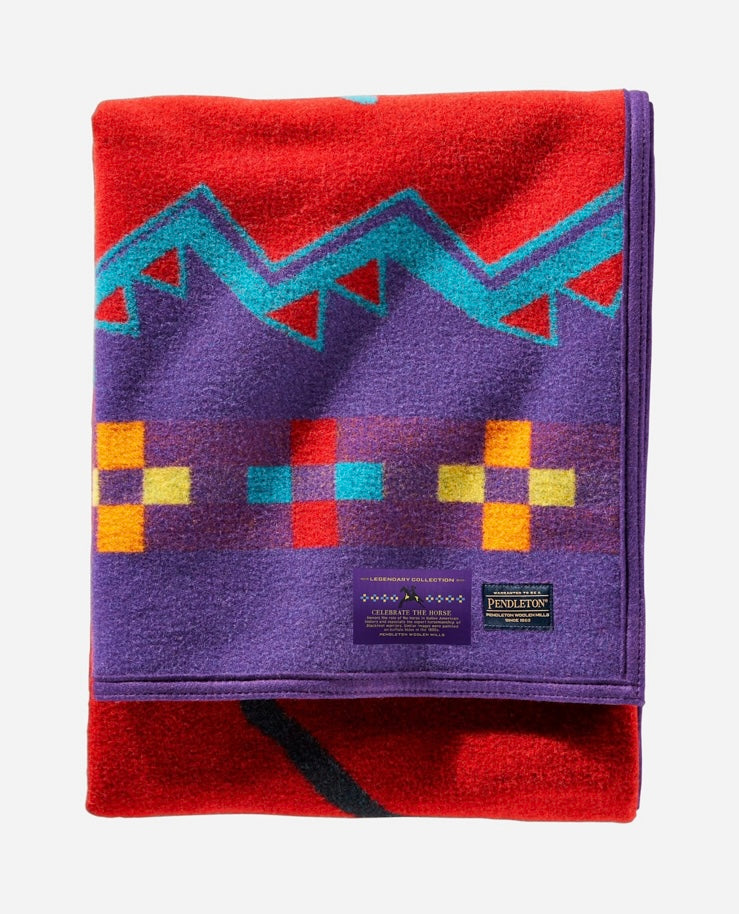 Celebrate The Horse Blanket