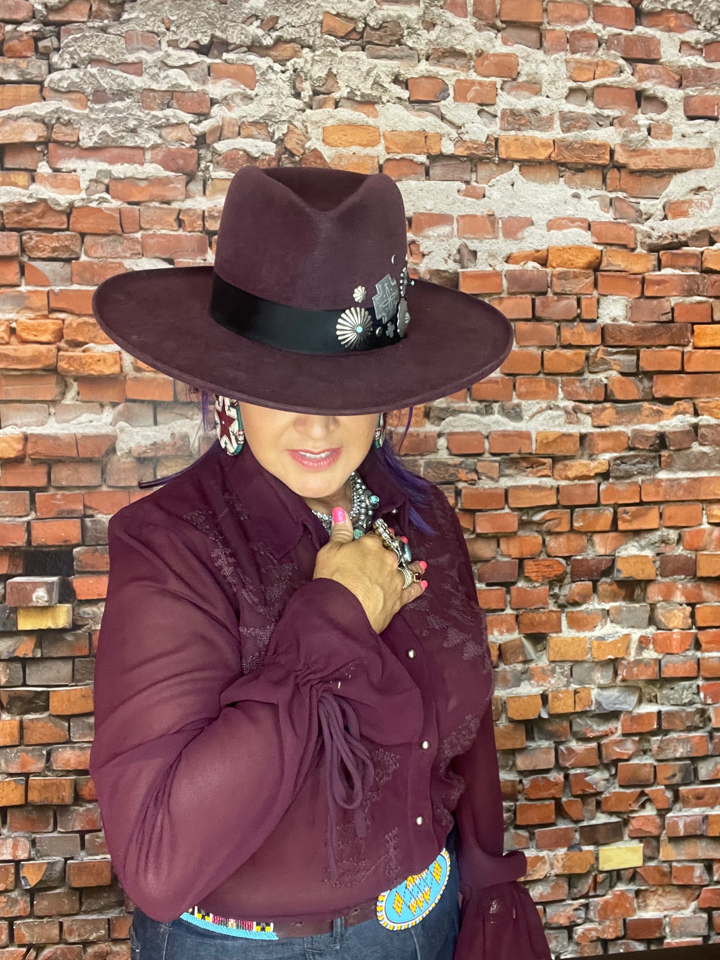 Oh So Elegant Sheer Top