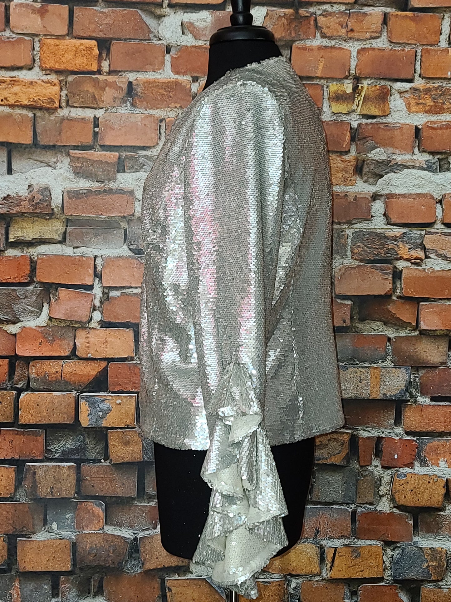 Ruffle Embellished Jacket