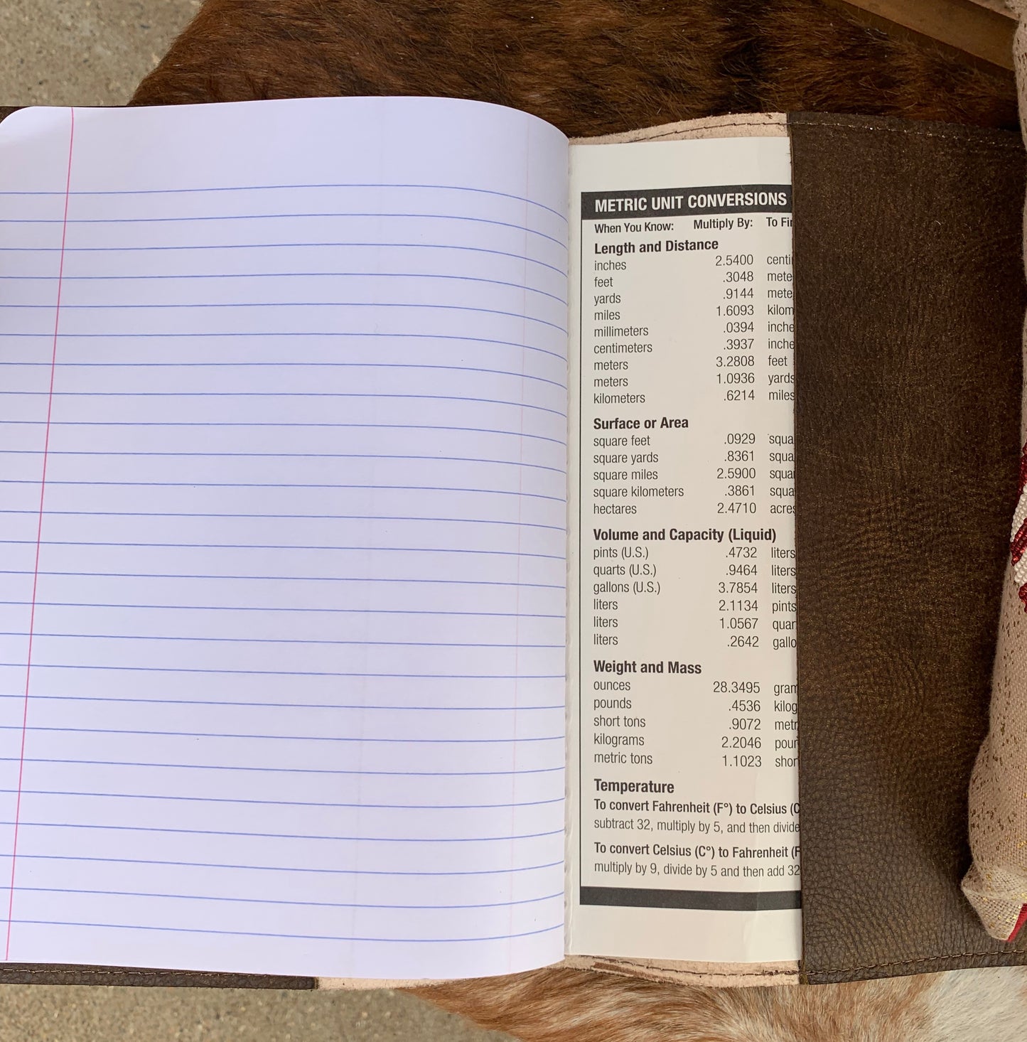 Chief Sitting Bull Journal