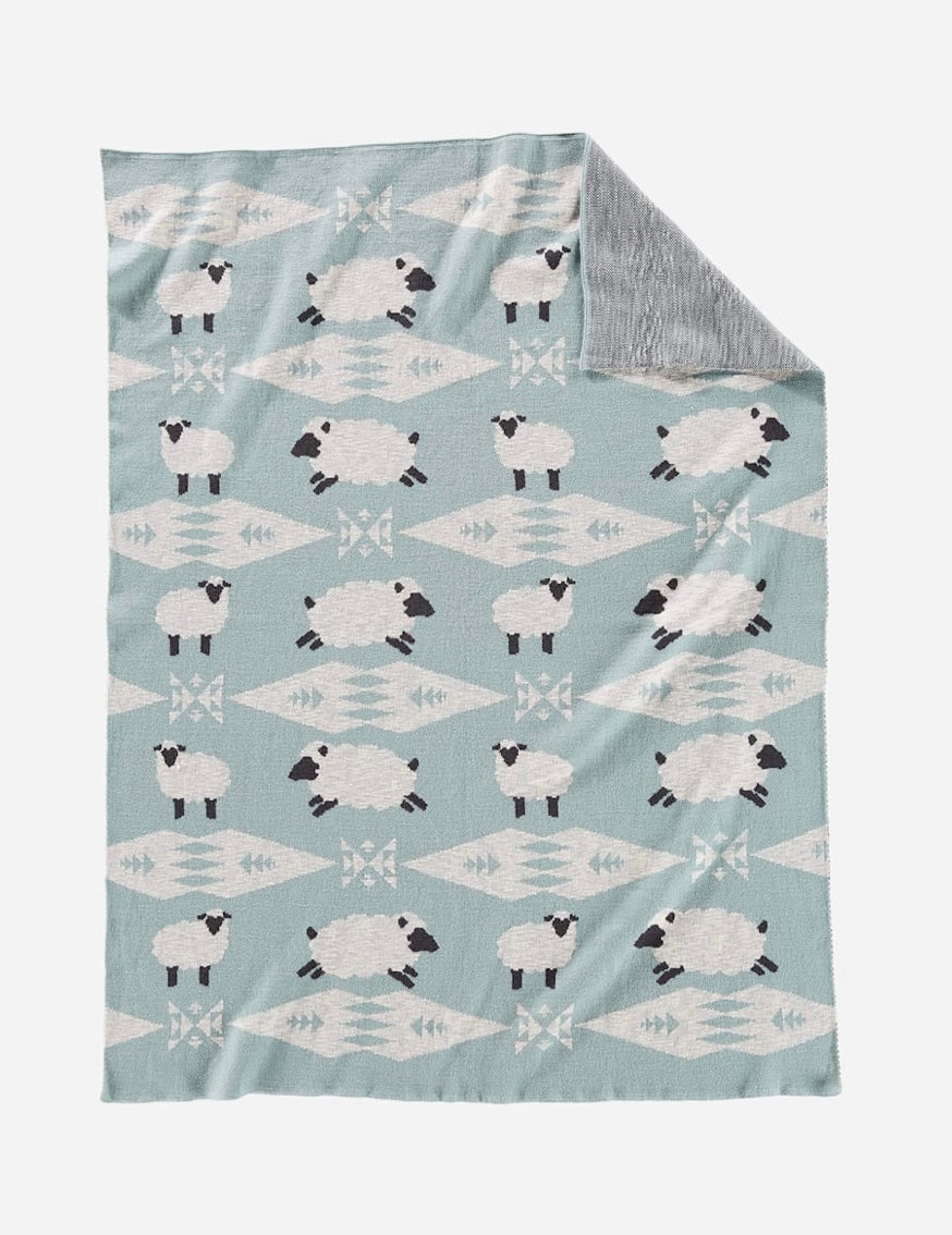 Knit Baby Blanket with Beanie