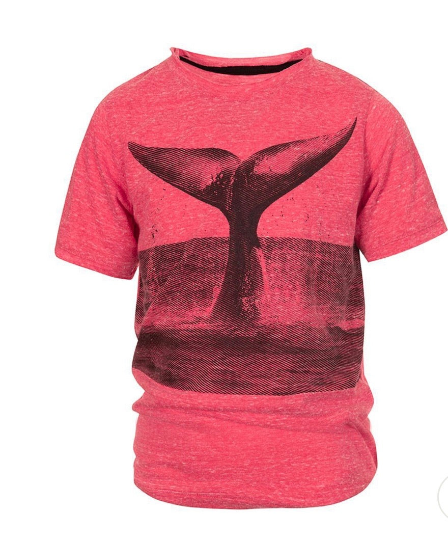 Whale of a Tail Graphic Tee